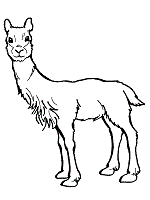 Llamas coloring pages and printable activities