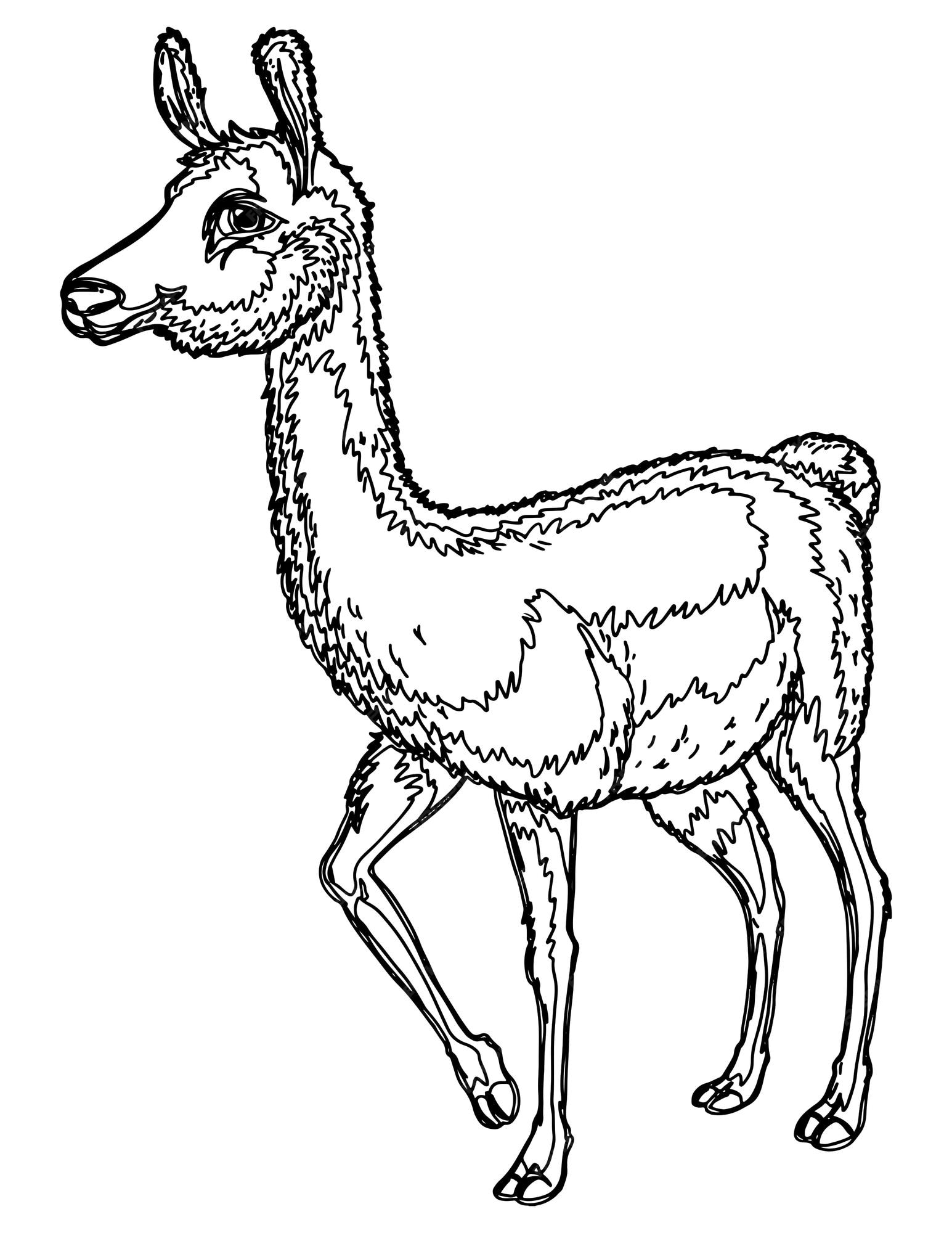 Premium vector a cartoon image of a llama with a black outline