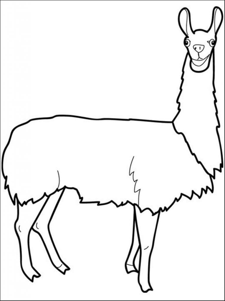 Free llama coloring page