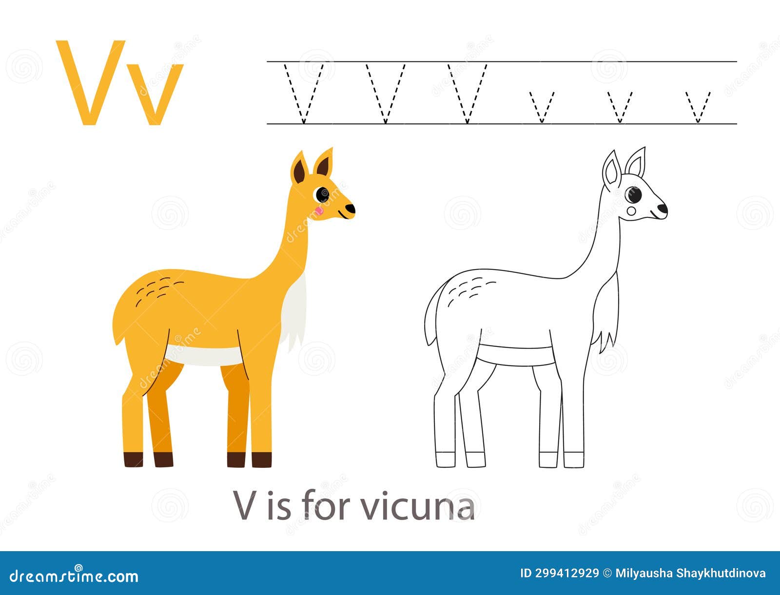 Vicuãa stock illustrations â vicuãa stock illustrations vectors clipart