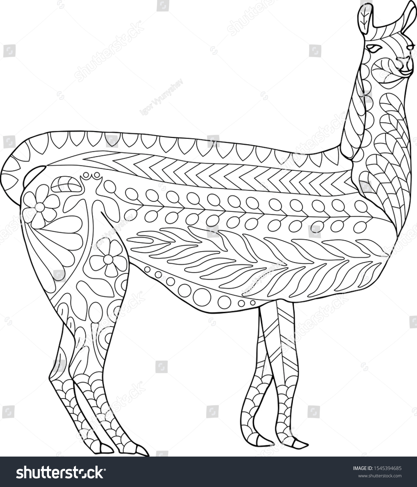 Vicuna zentangle coloring page vector illustration stock vector royalty free