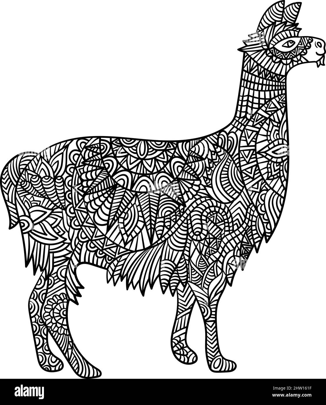 Llama mandala coloring pages for adults stock vector image art