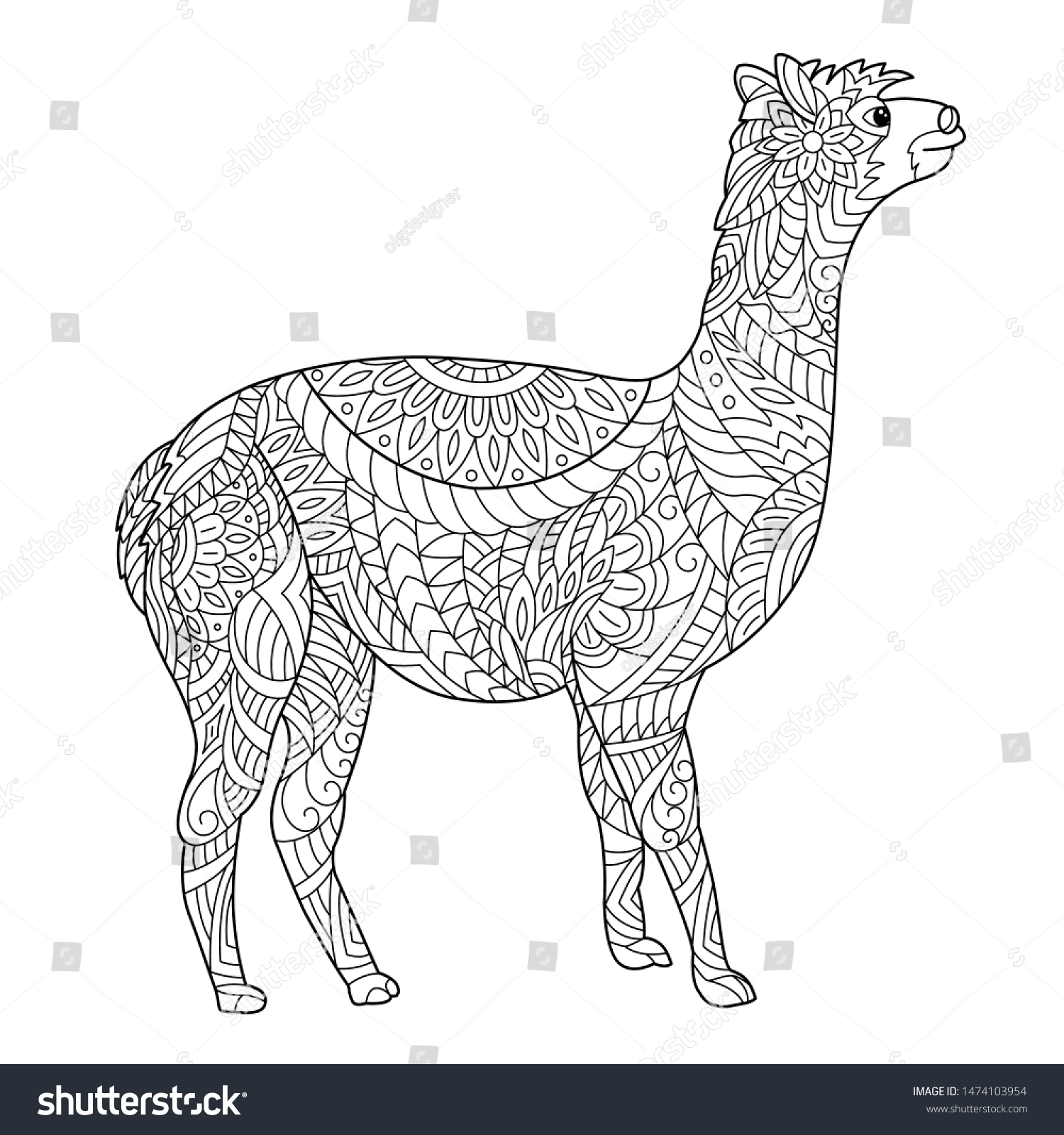 Alpaca coloring page adult children creative stock vector royalty free