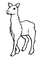 Llamas coloring pages and printable activities