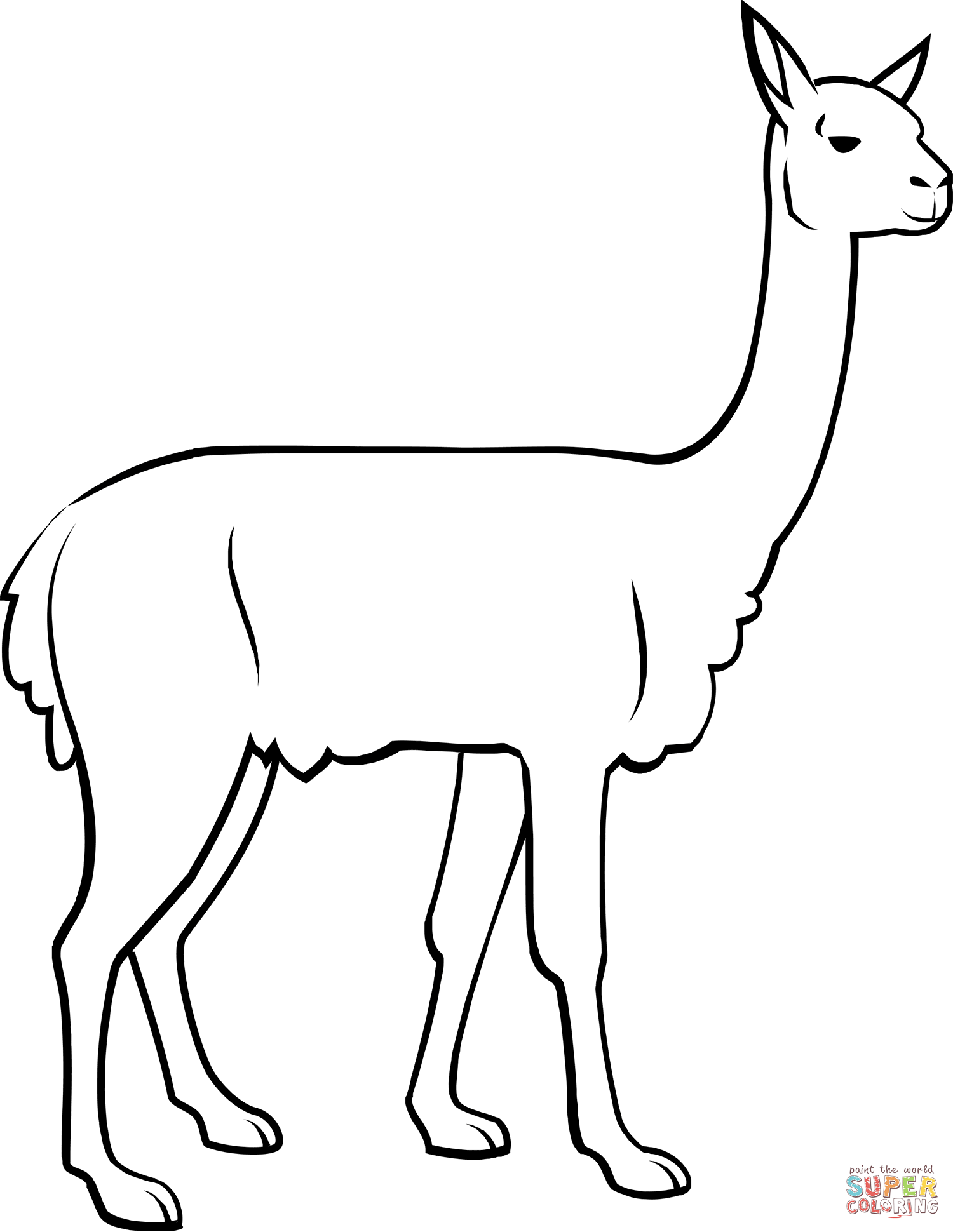 Vicuna coloring page free printable coloring pages