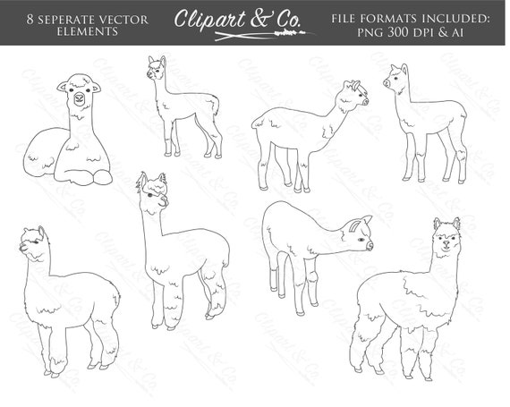 Llama alpaca clip art digital stamps animal line art coloring pages clipart and co vector images animal clipart