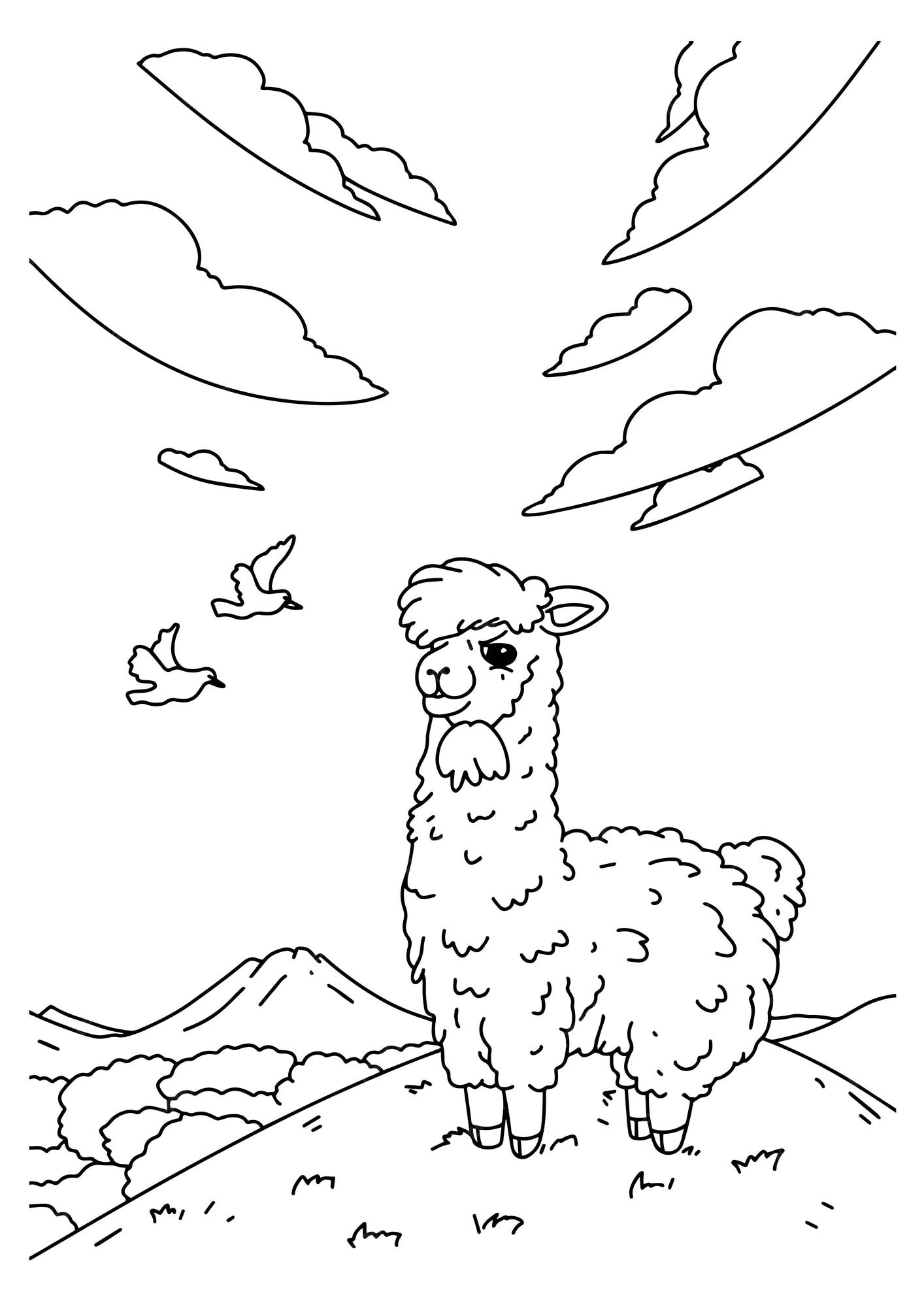 Premium vector children coloring book page ilama in savana nature