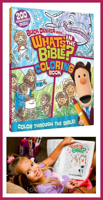 Whats in the bible coloring book