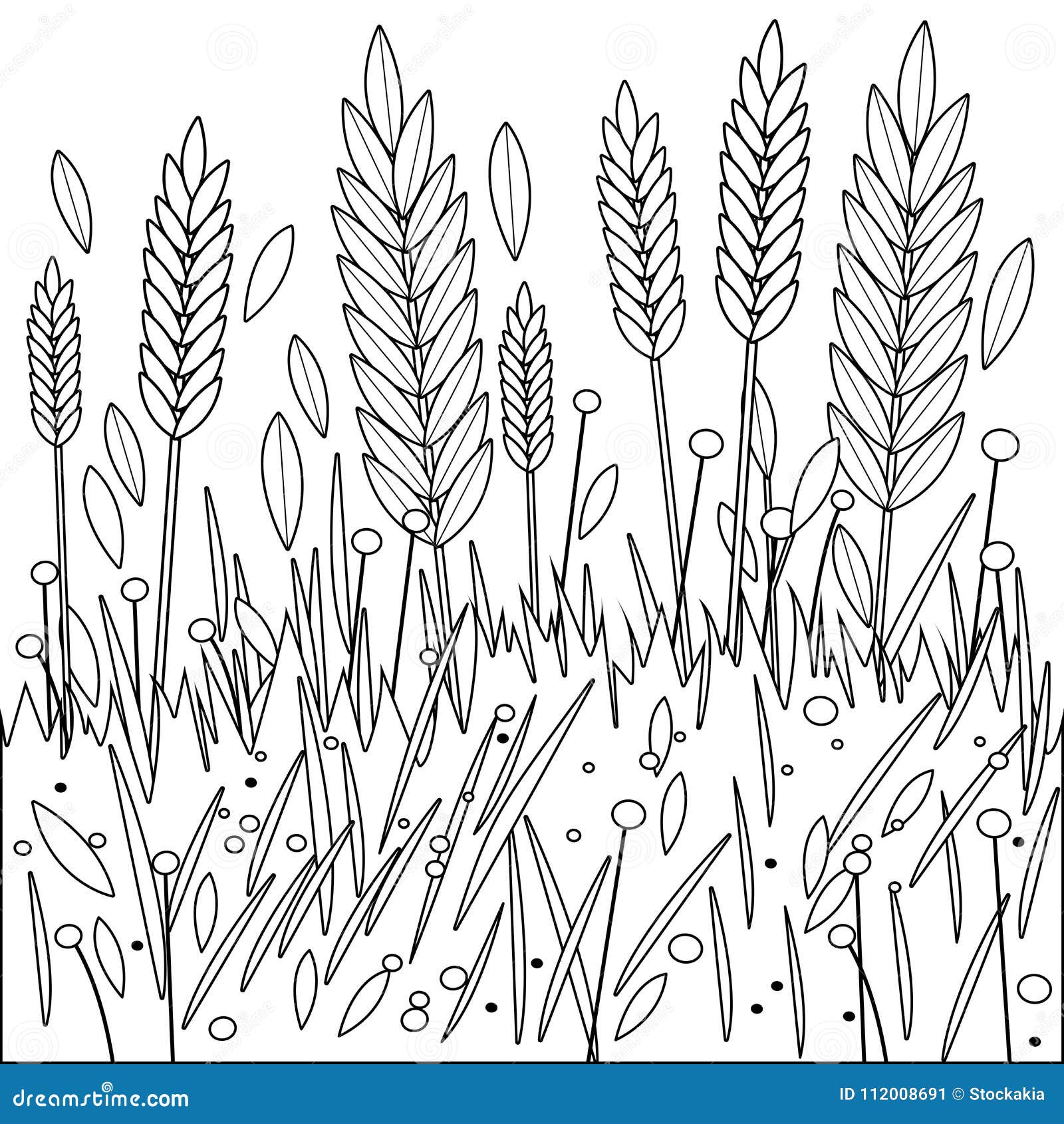 Field of wheat barley or rye vector black and white coloring page stock vector