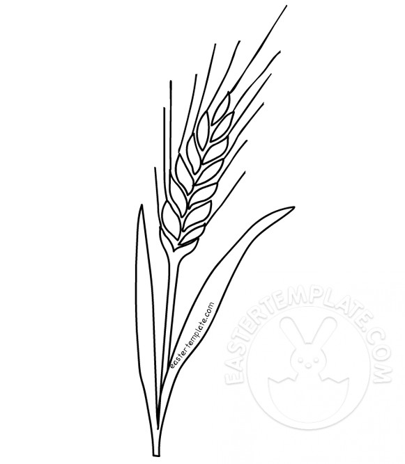 Wheat coloring page first munion