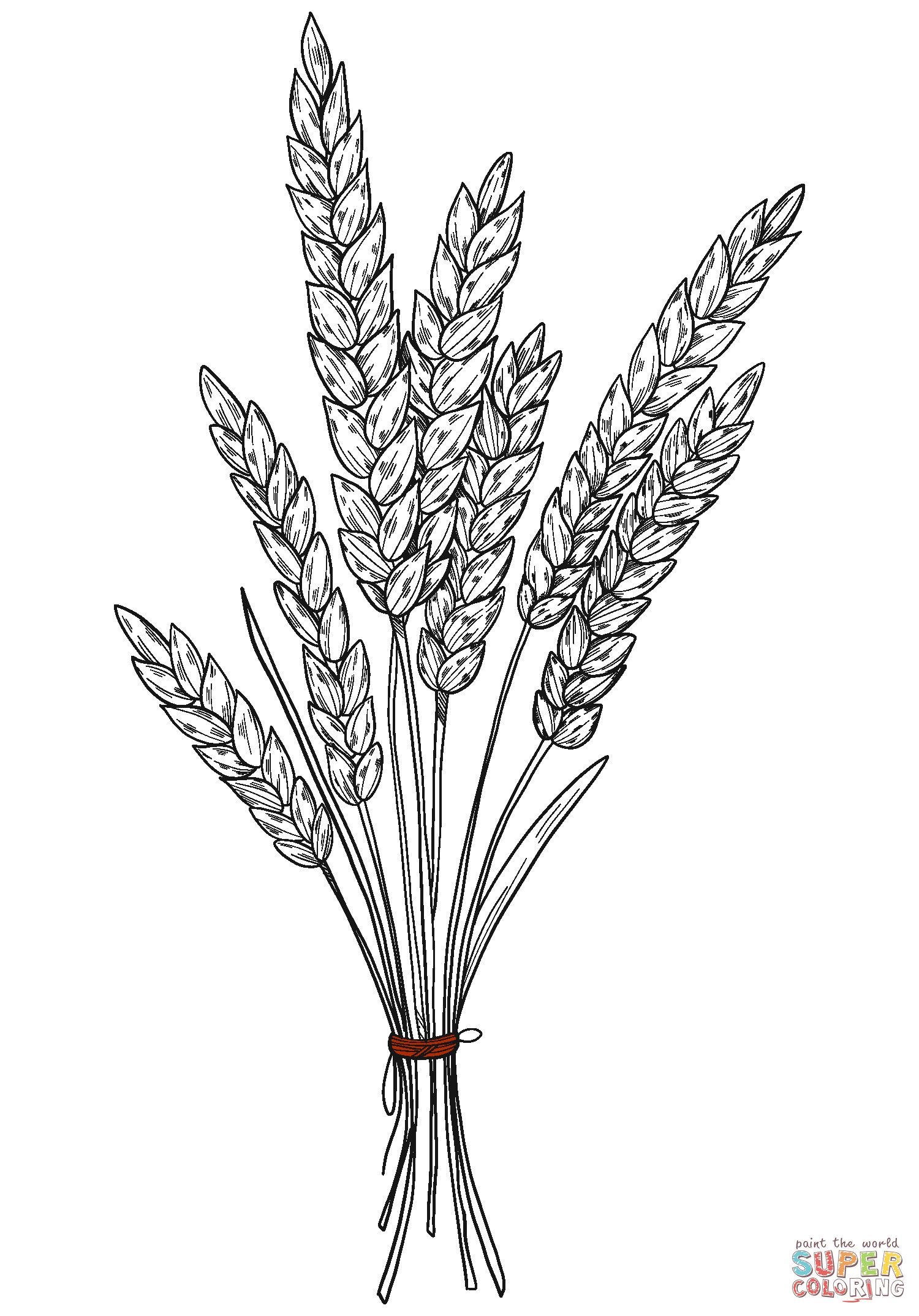 Wheat coloring page free printable coloring pages