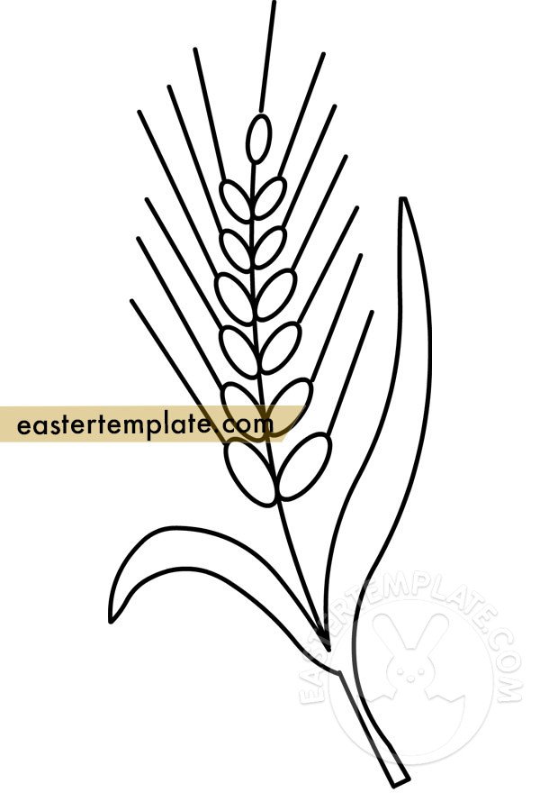 Ear wheat coloring page