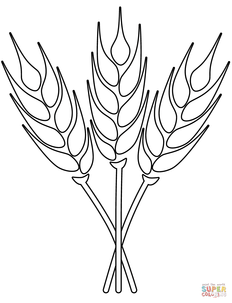 Wheat coloring page free printable coloring pages