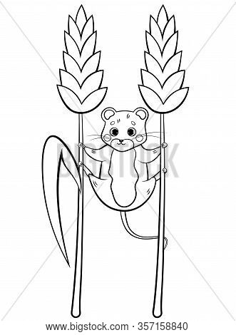 Coloring page outline vector photo free trial bigstock