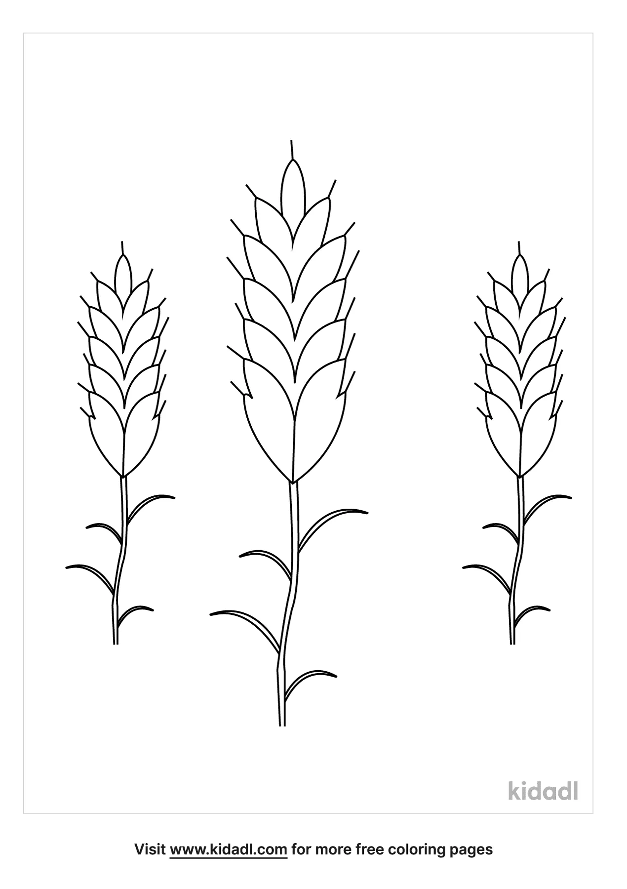 Free wheat coloring page coloring page printables