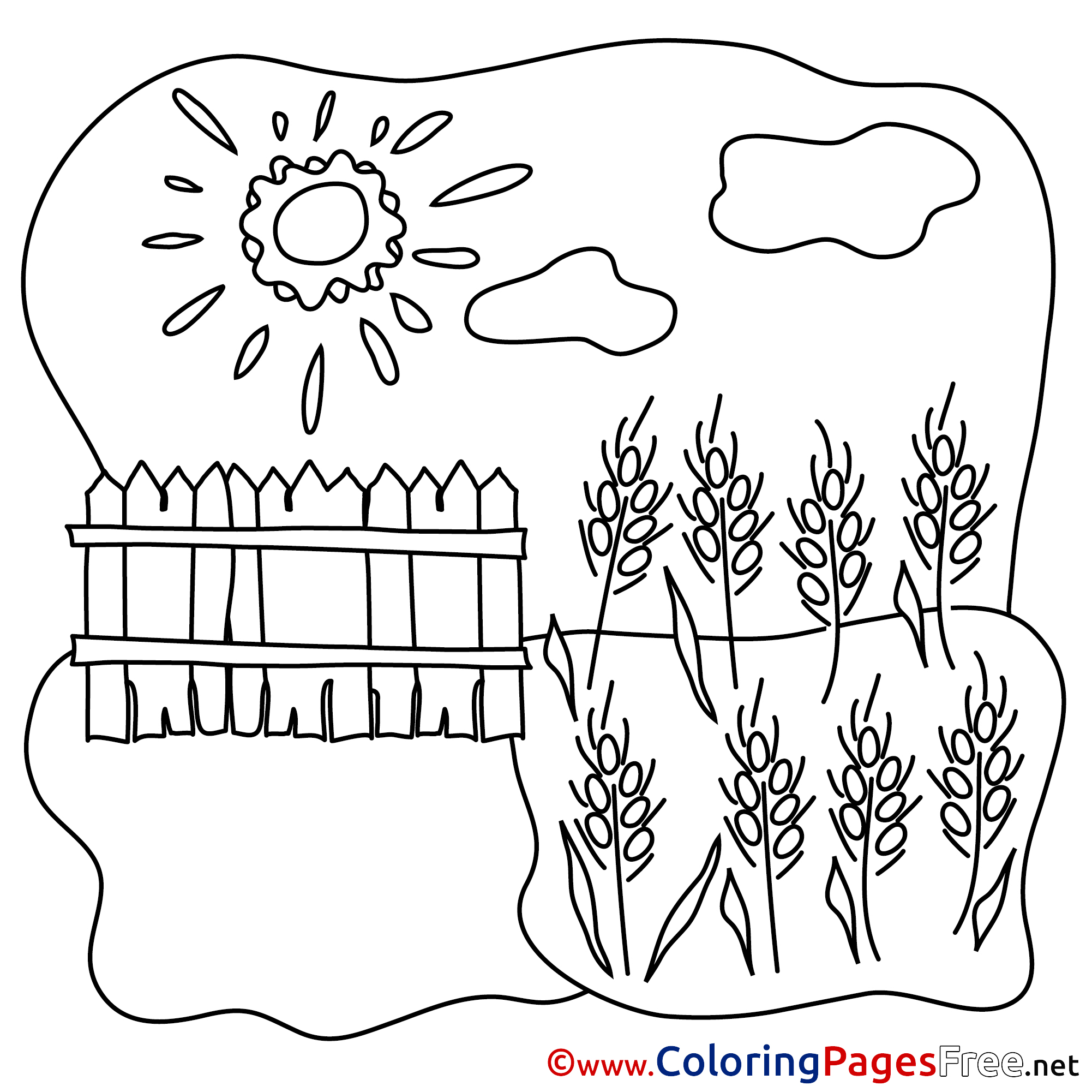 Wheat printable coloring sheets download