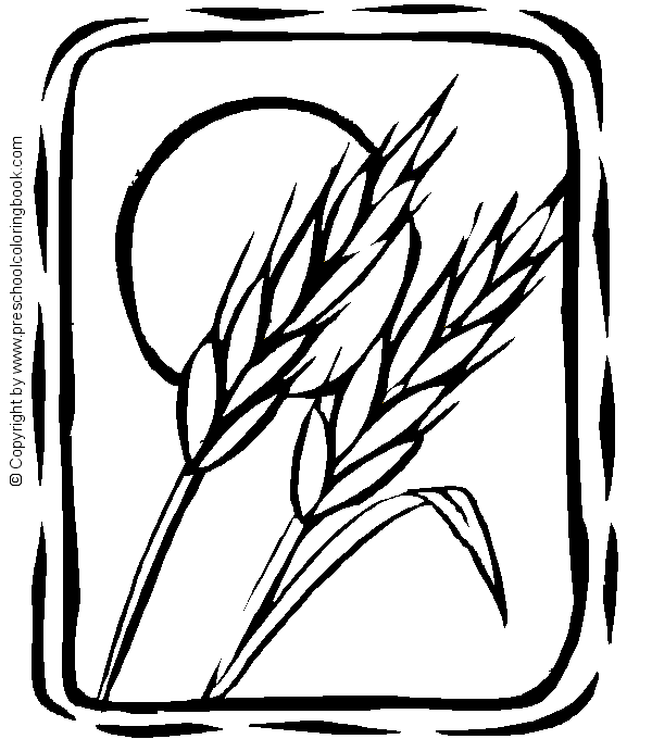 Www fall coloring page