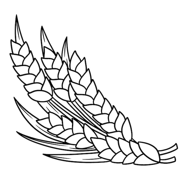 Premium vector thanksgiving harvest wheat isolated coloring page