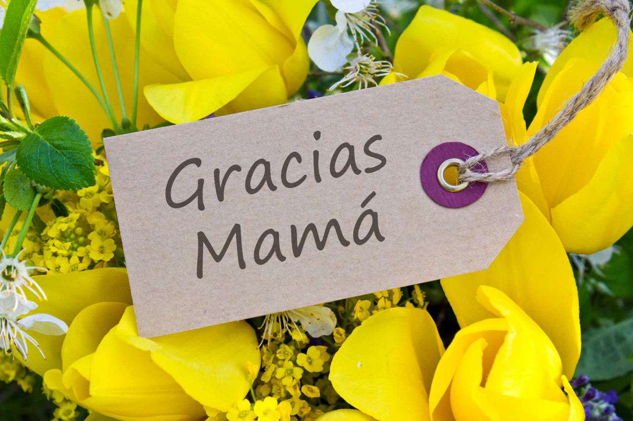 Mothers day in argentina in office holidays