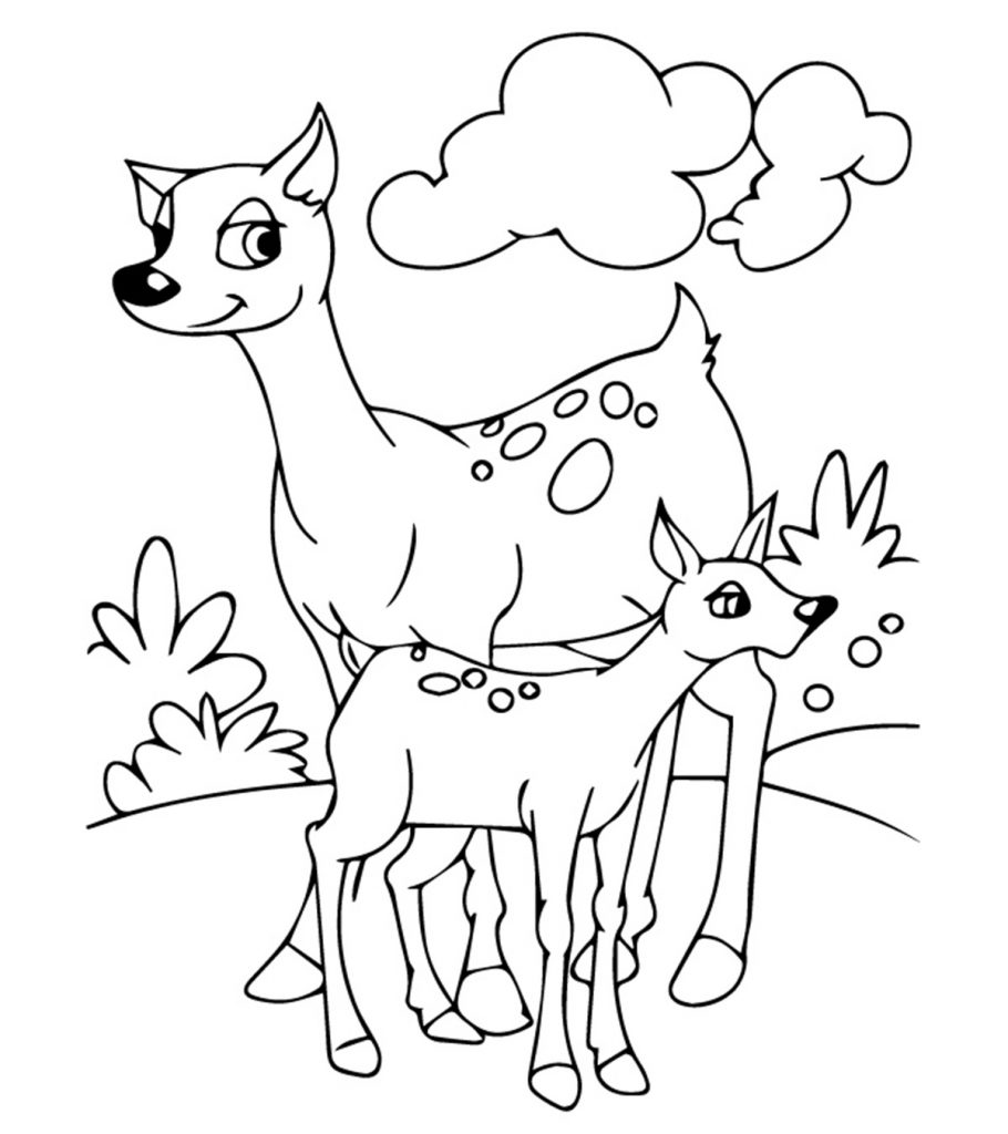 Top free printable coloring pages of animals online