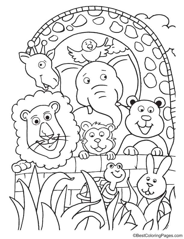 Group of animals coloring page animal coloring pages zoo animal coloring pages coloring books