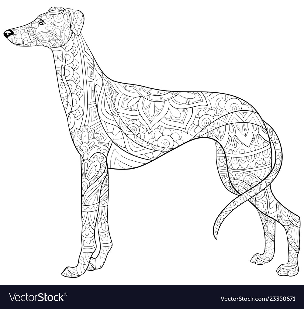 Adult coloring bookpage a cute dog image vector image