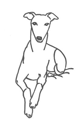 Whippet coloring pages