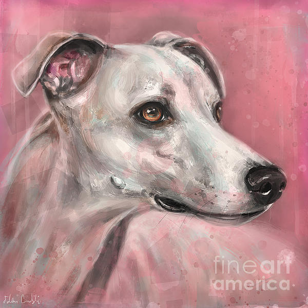 Painting of a whippet hound dog on grungy pink background ornament by idan badishi