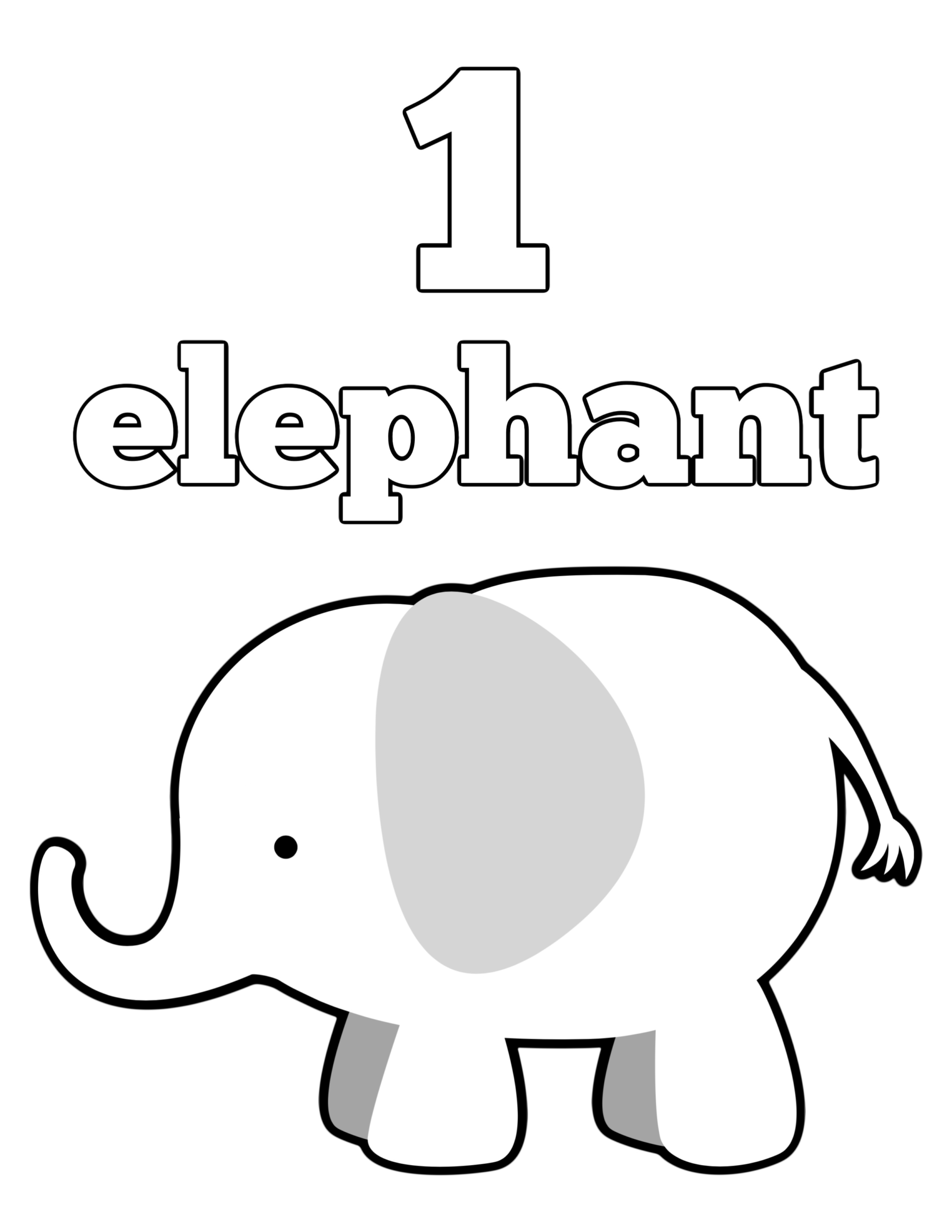 Elephant