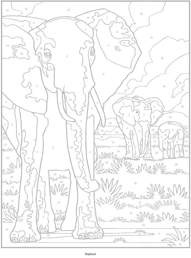 Wele to dover publications lion coloring pages animal coloring pages fall coloring pages