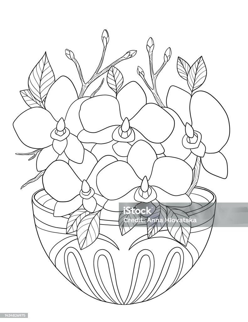 Flowers pattern coloring book floral coloring book flowers coloring pages stock illustration