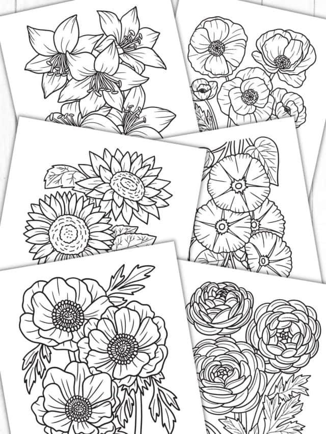 Free printable coloring worksheet pages with flowers homemade heather