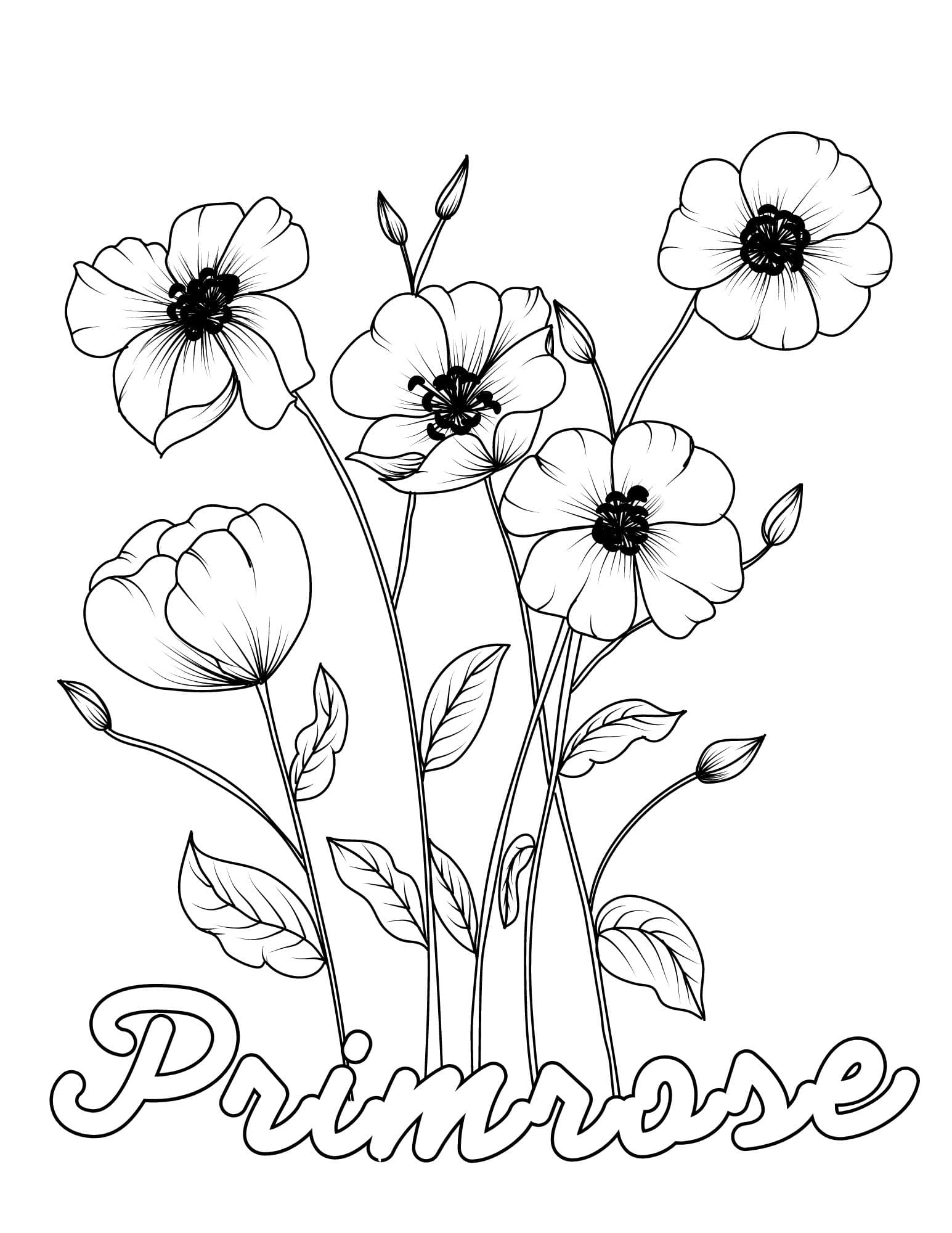 Stunning flower coloring pages for kids and adults