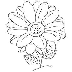 Top free printable flowers coloring pages online