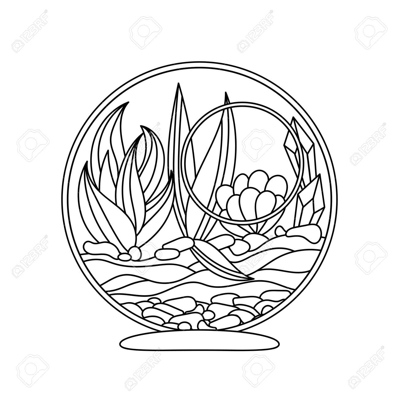 Terrarium for plants coloring page tropical and desert plants for interior transparent balls for growing succulent hand drawn vector illustration geometric vase with flowers royalty free svg cliparts vectors and stock