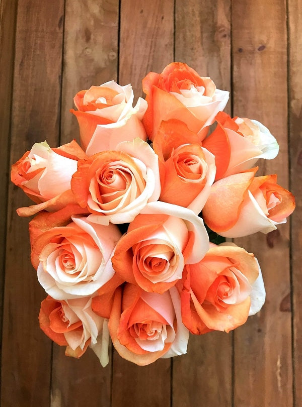 Orange and white tinted roses