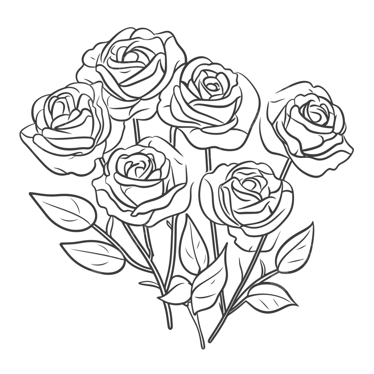 Coloring pages of roses illustration vector outline sketch drawing small roses drawing small roses outline small roses sketch png and vector with transparent background for free download