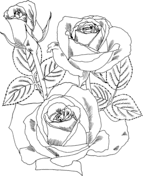 Roses coloring pages free coloring pages