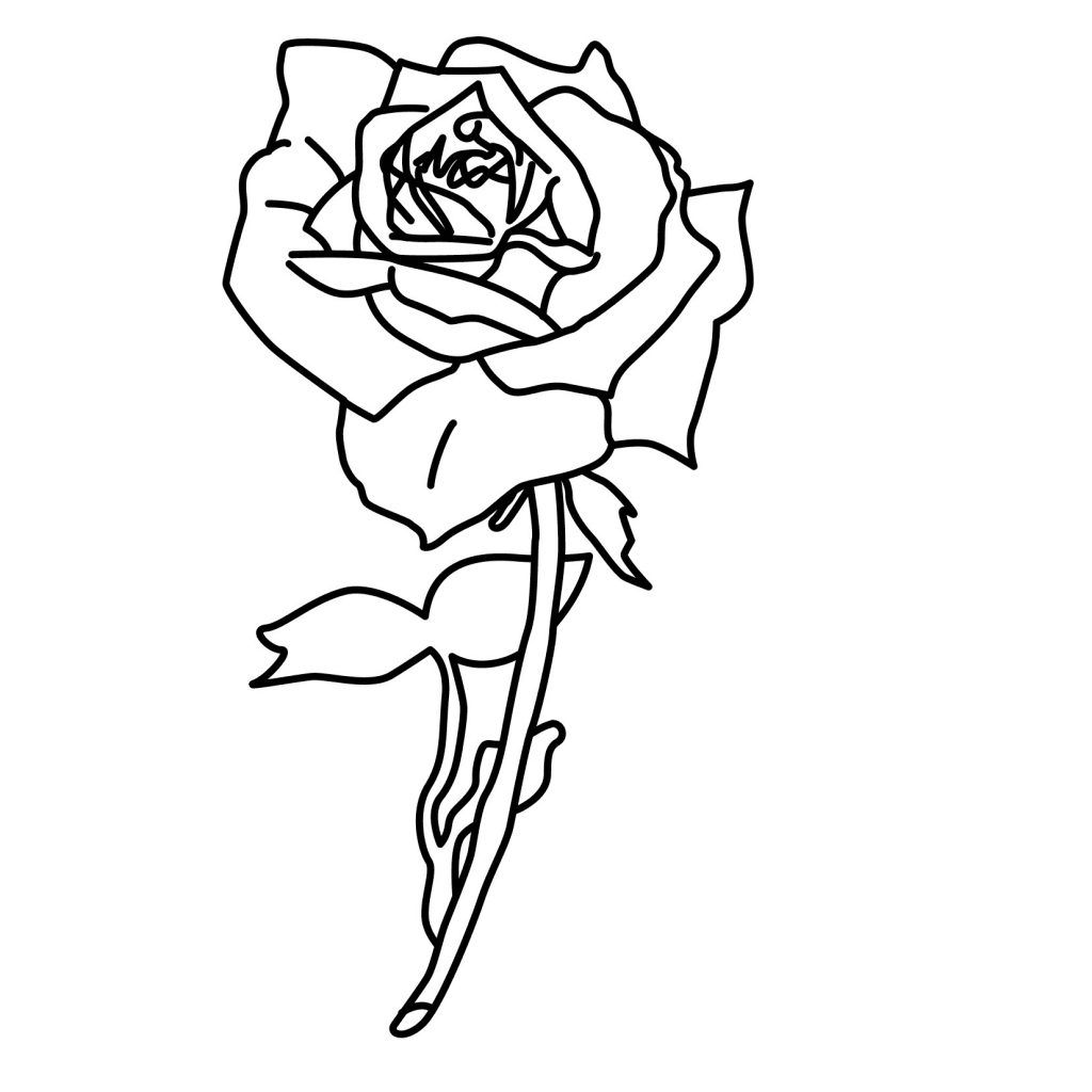 Free printable roses coloring pages for kids owl coloring pages coloring pages rose coloring pages