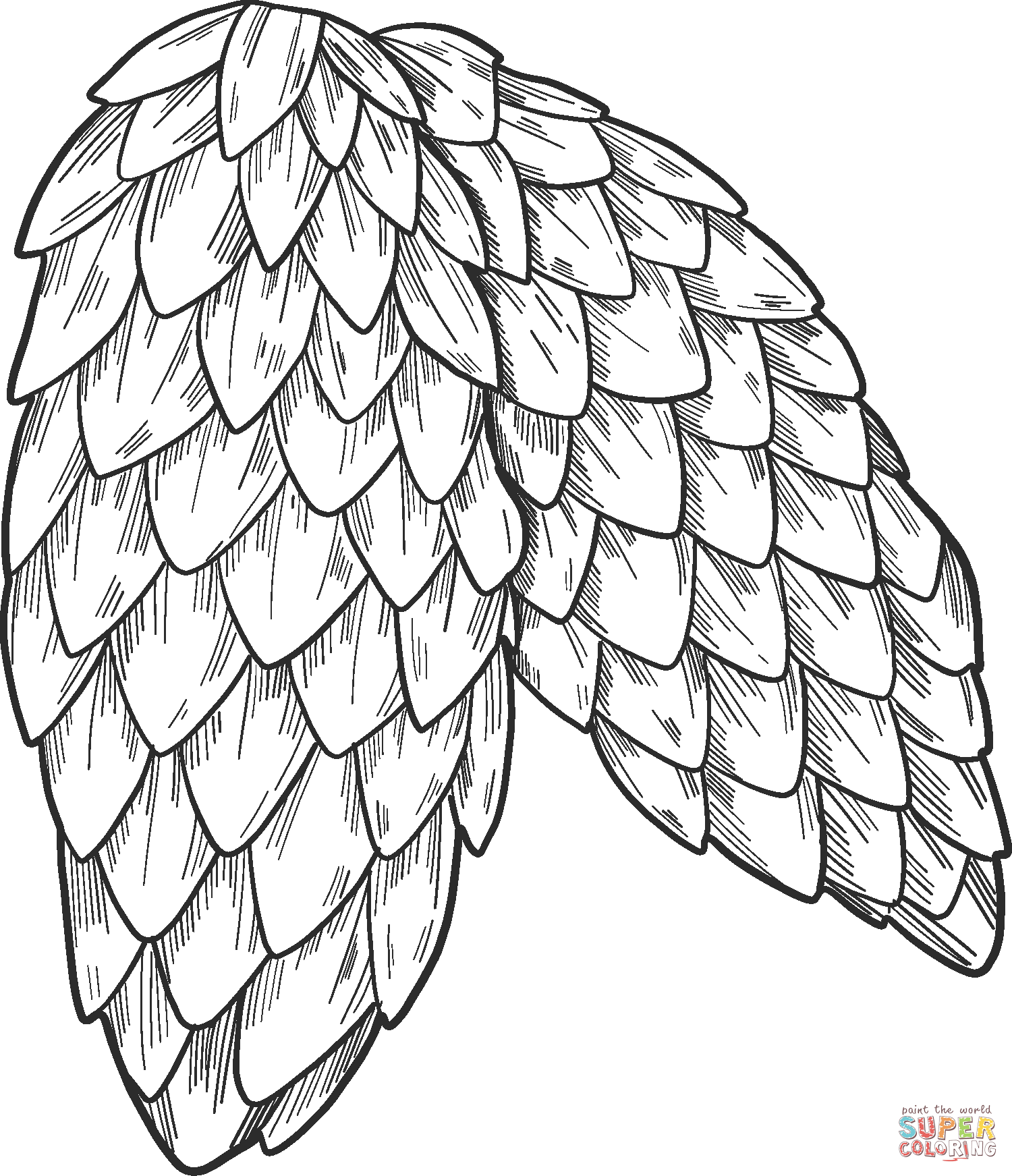 Pine cones coloring page free printable coloring pages