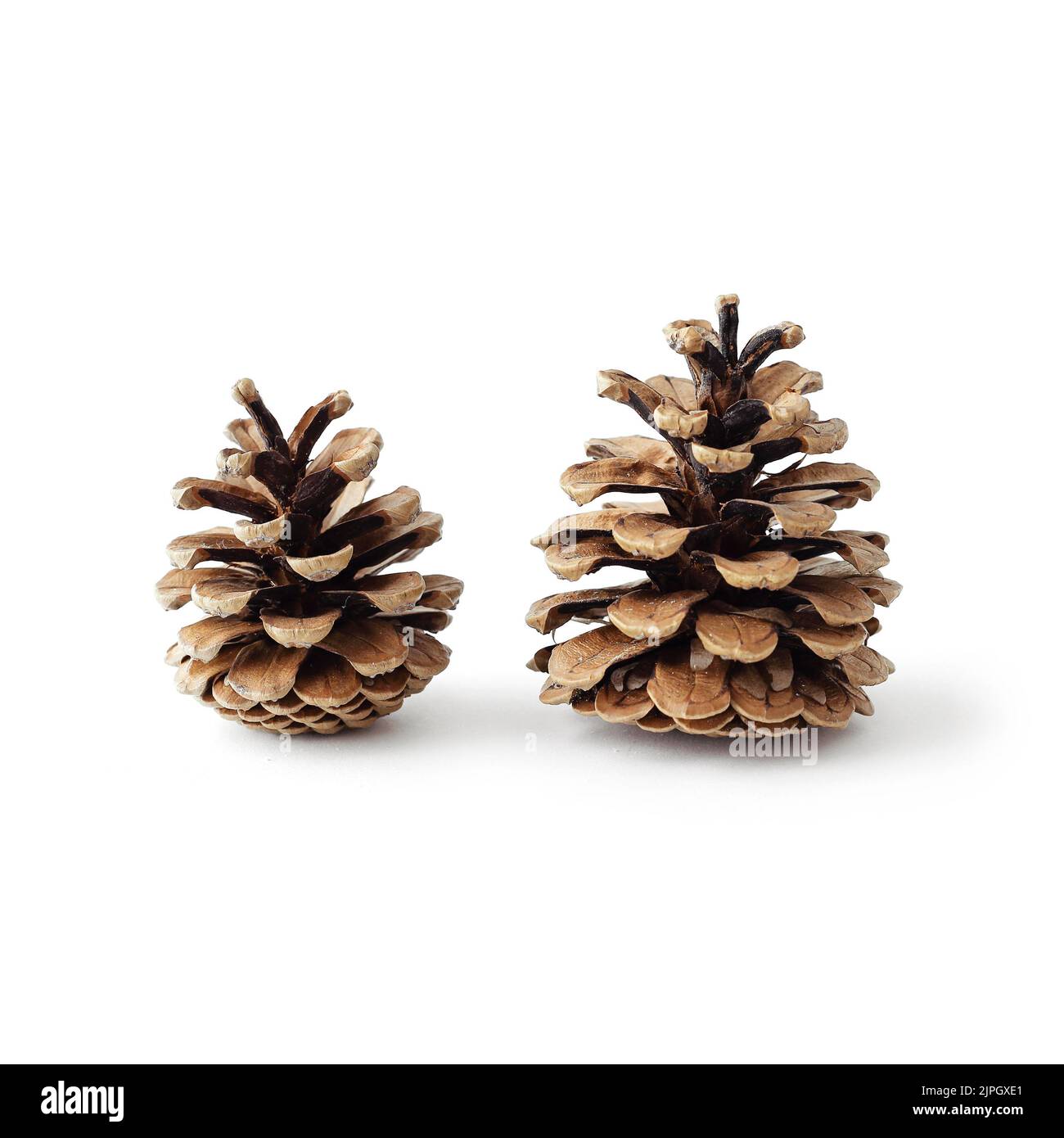 Cones cut out stock images pictures