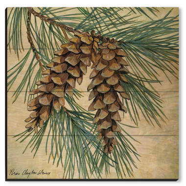 Wgi gallery pine cone on wood by weirs print