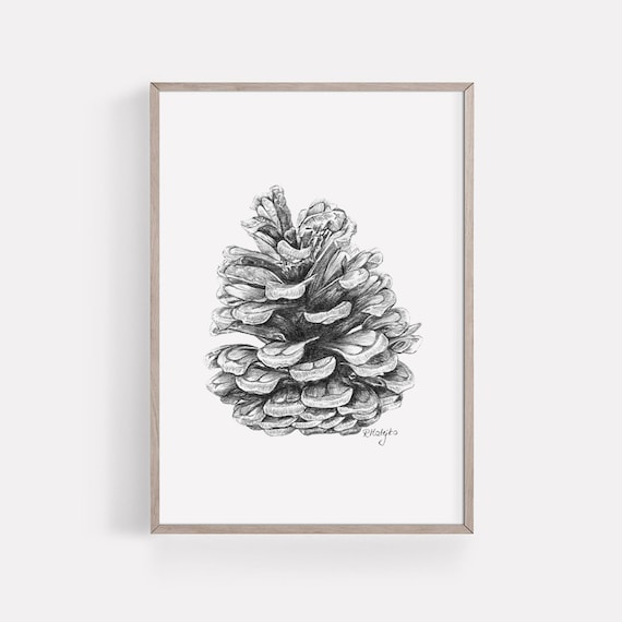 Printable pine cone art print graphite pencil drawing woodland decor pine cone sketch nature poster instant download