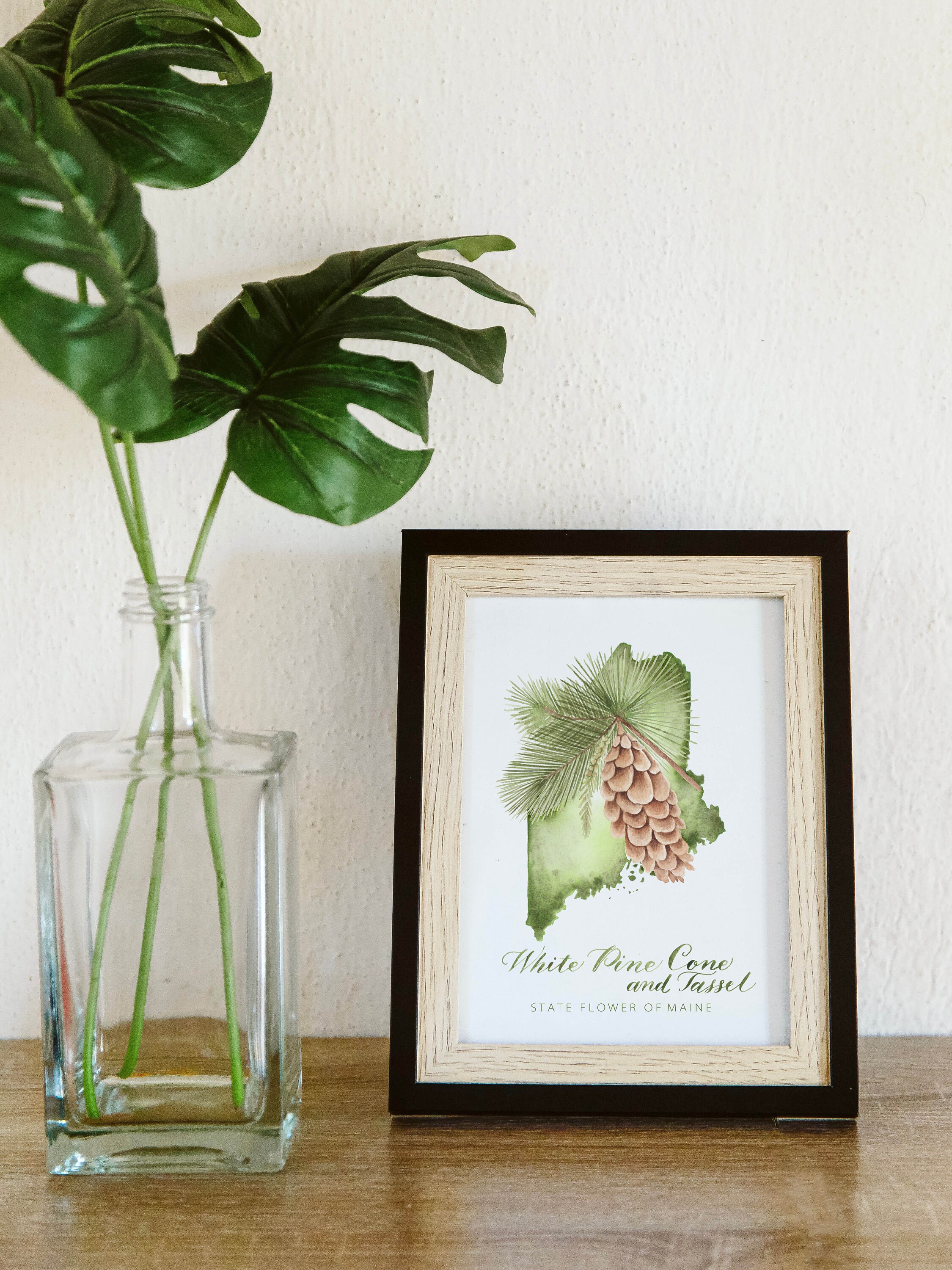 Maine state flower and shape print white pine cone and tassel fine art watercolor print