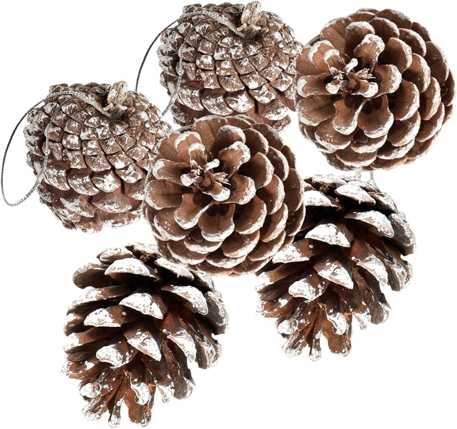 Pcs pine cones for christmas tree snowflake natural pinecones ornament with string pendant crafts for xmas party home decor fall winter holiday christmas tree decoration home kitchen