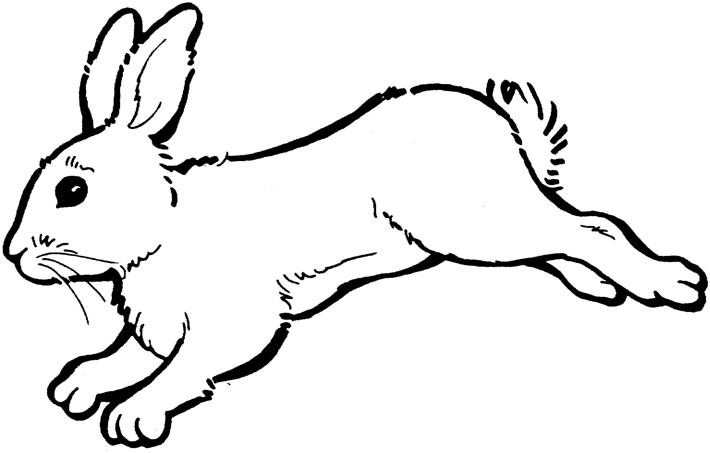 Free rabbit coloring pages