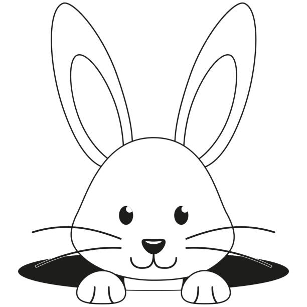Line art black and white rabbit face hole icon stock illustration