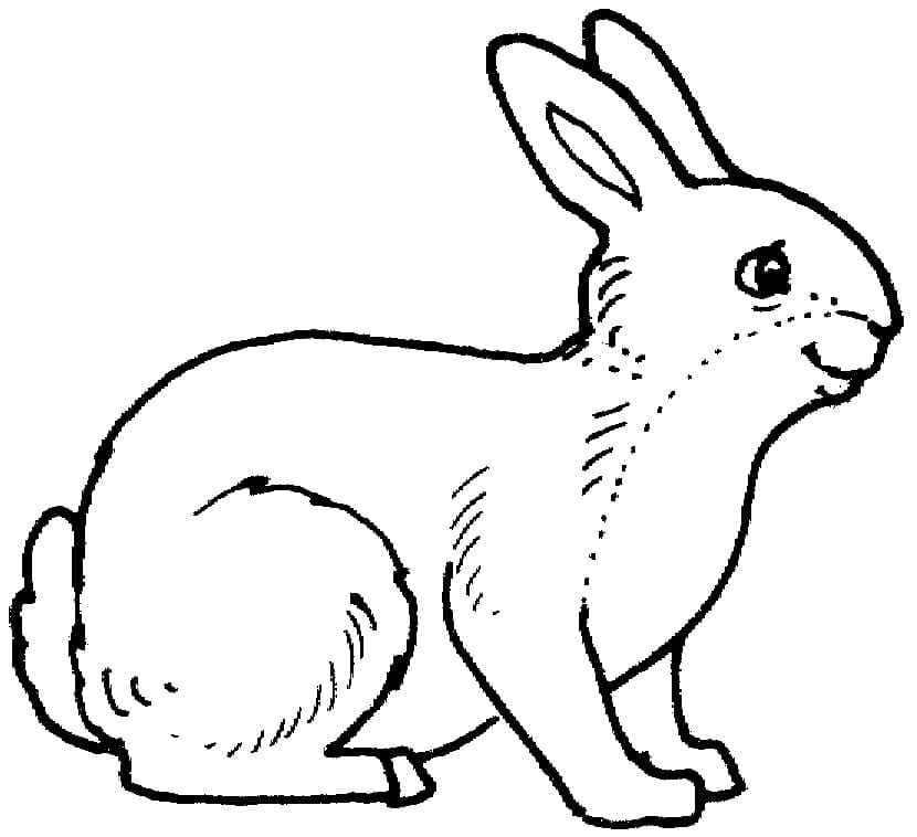 A smiling rabbit coloring page