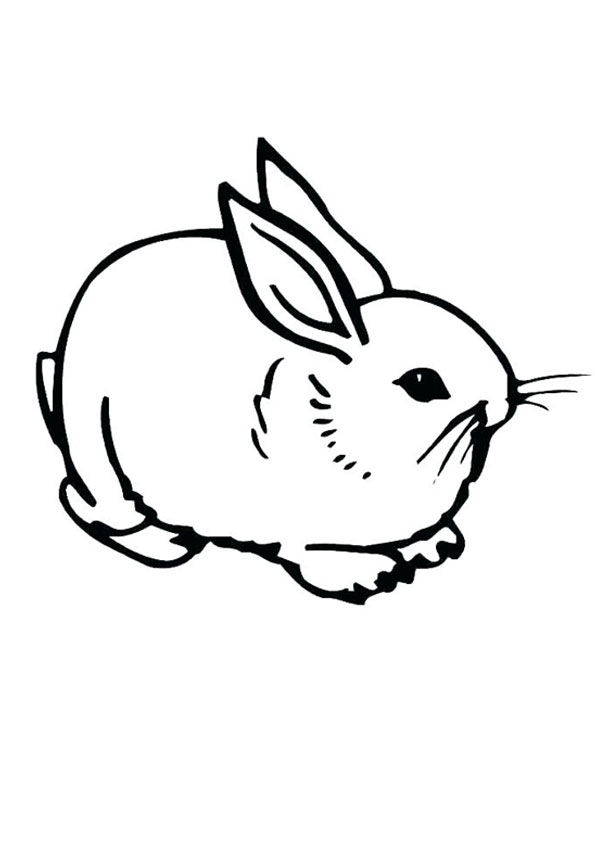 Coloring pages rabbit coloring page