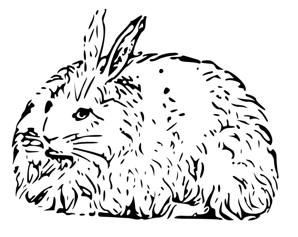 Free rabbit coloring page clipart